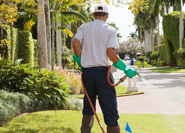 About Falls Creek PA Pest Control